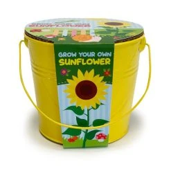 Churchgate Kid's Grow Your Own Sunflowers Kit -Furn Shop 1000183725 alt02