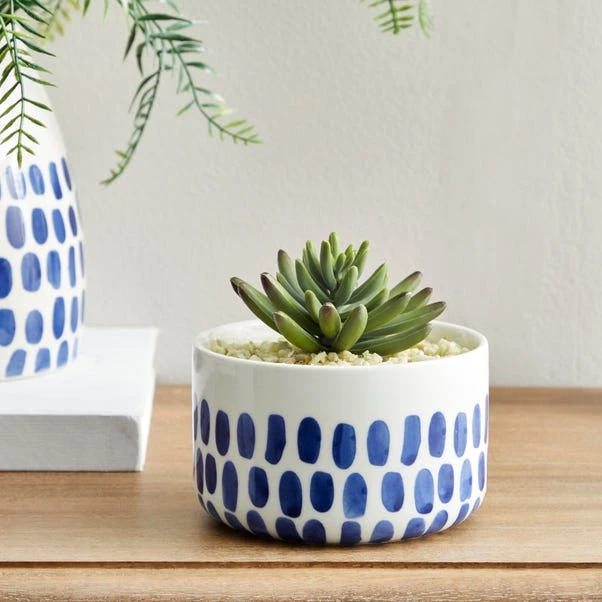 Dunelm Coastal Dottie Mini Succulent 3 Dunelm Coastal Dottie Mini Succulent
