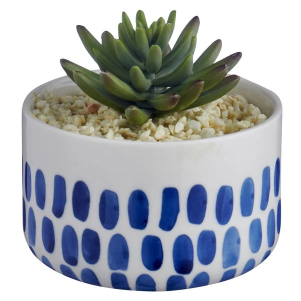 Dunelm Coastal Dottie Mini Succulent 5 Dunelm Coastal Dottie Mini Succulent - Image 3