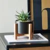 Dunelm Black Pot On A Wooden Stand With Plant -Furn Shop 30729965