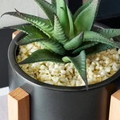 Dunelm Black Pot On A Wooden Stand With Plant -Furn Shop 30729965 alt01