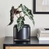 Dunelm London Black Framed Planter -Furn Shop 30729967