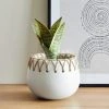 Dunelm Jute Detailed Pot With Plant -Furn Shop 30729982