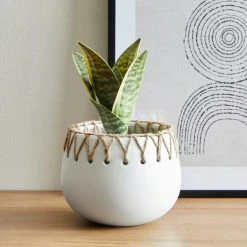 Dunelm Jute Detailed Pot With Plant