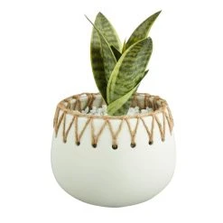 Dunelm Jute Detailed Pot With Plant -Furn Shop 30729982 alt02