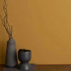 Dunelm Old Gold Matt Emulsion Paint