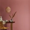 Dunelm Rose Matt Emulsion Paint -Furn Shop 30741190
