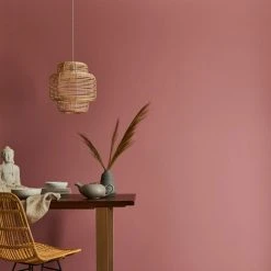 Dunelm Rose Matt Emulsion Paint