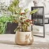 Dunelm Large Beige Fibre Clay Pot With Bamboo Finish 2 Dunelm Large Beige Fibre Clay Pot With Bamboo Finish -Furn Shop 30747043