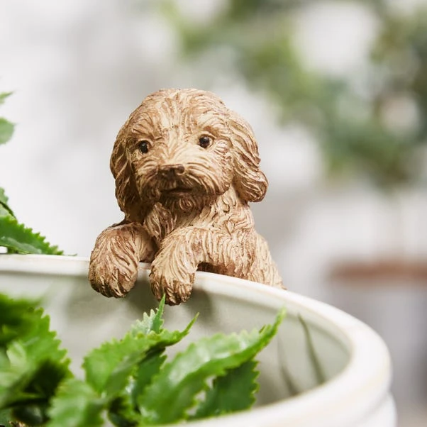 Dunelm Cockapoo Pot Hanger 4 Dunelm Cockapoo Pot Hanger - Image 2
