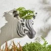Dunelm Zebra Wall Planter -Furn Shop 30748387