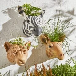 Dunelm Zebra Wall Planter 7 Dunelm Zebra Wall Planter -Furn Shop 30748387 alt02