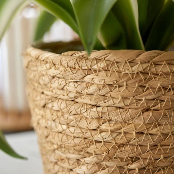 Dunelm Woven Plant Pot Natural Medium 4 Dunelm Woven Plant Pot Natural Medium - Image 2