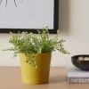 Dunelm Ceramic Plant Pot Yellow Small 1 Dunelm Ceramic Plant Pot Yellow Small -Furn Shop 30751188