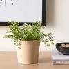Dunelm Small Ceramic Pink Plant Pot -Furn Shop 30751201