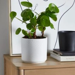 Dunelm Ceramic Plant Pot Luxe White