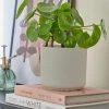 Dunelm Grey Ceramic Plant Pot -Furn Shop 30751211