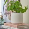 Dunelm White Ceramic Plant Pot -Furn Shop 30751212