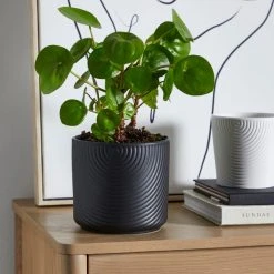 Dunelm Ceramic Plant Pot Luxe Black