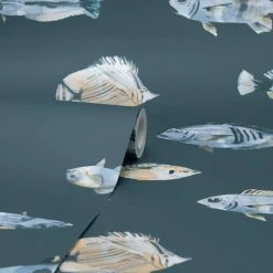 Dunelm Watercolour Fish Wallpaper 9 Dunelm Watercolour Fish Wallpaper -Furn Shop 30757402 alt02