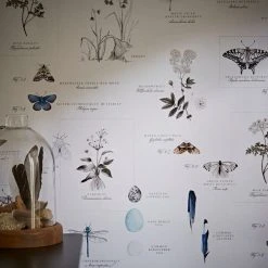 Natural History Museum Nature’s Study White Wallpaper 9 Natural History Museum Nature’s Study White Wallpaper -Furn Shop 30757434 alt04