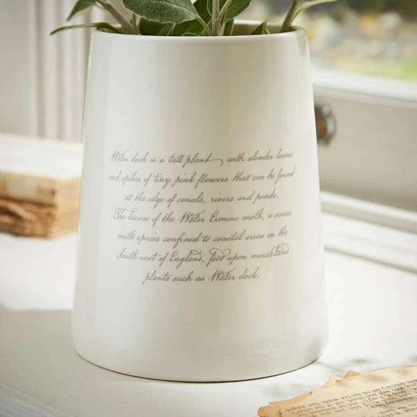 Natural History Museum Water Dock Ceramic Plant Pot 8 Natural History Museum Water Dock Ceramic Plant Pot - Image 6