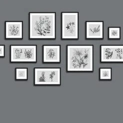 Dunelm Botanical Gallery Wall Grey Mural 9 Dunelm Botanical Gallery Wall Grey Mural -Furn Shop 30759957 alt03