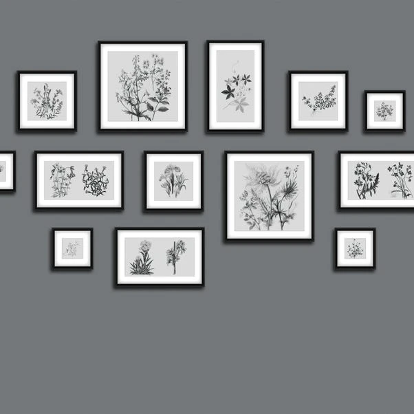 Dunelm Botanical Gallery Wall Grey Mural 6 Dunelm Botanical Gallery Wall Grey Mural - Image 4