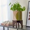 Elements Sculpted Green Plant Pot On Stand -Furn Shop 30765431