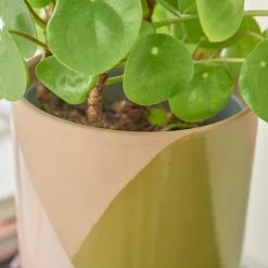 Elements Sculpted Green Plant Pot On Stand 10 Elements Sculpted Green Plant Pot On Stand -Furn Shop 30765431 alt02