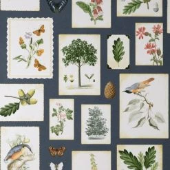 Natural History Museum Woodland Journal Wallpaper -Furn Shop 30783102 alt01