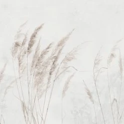 Dunelm Pampas Grass Mural 11 Dunelm Pampas Grass Mural -Furn Shop 30792516 alt04