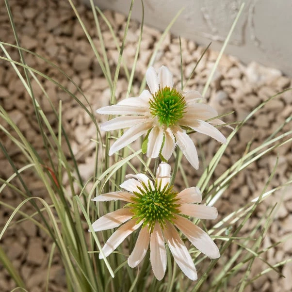 Dunelm Daisy And Grass In Pot 80cm 4 Dunelm Daisy And Grass In Pot 80cm - Image 2