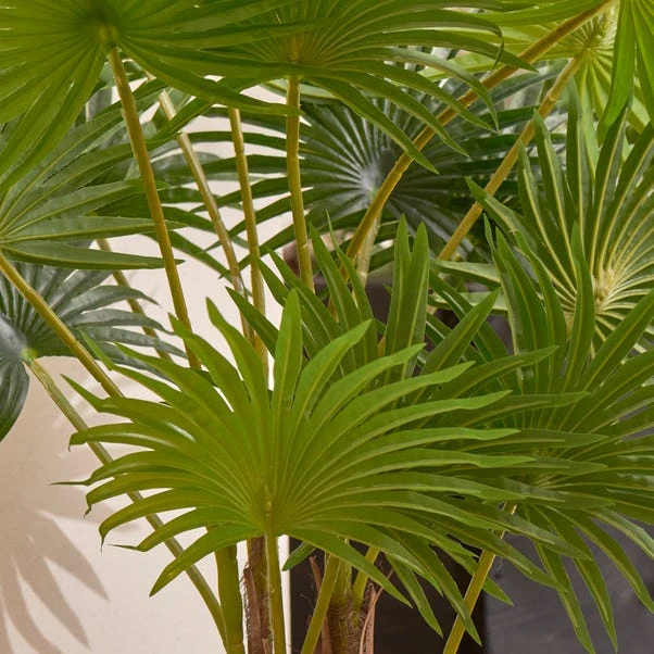 Dunelm Fan Palm Tree 100cm 4 Dunelm Fan Palm Tree 100cm - Image 2
