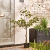 Dunelm Eucalyptus Tree 100cm -Furn Shop 30792754