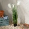 Dunelm Potted Pampas 100cm -Furn Shop 30792756
