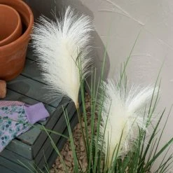 Dunelm Potted Pampas 100cm 5 Dunelm Potted Pampas 100cm -Furn Shop 30792756 alt01