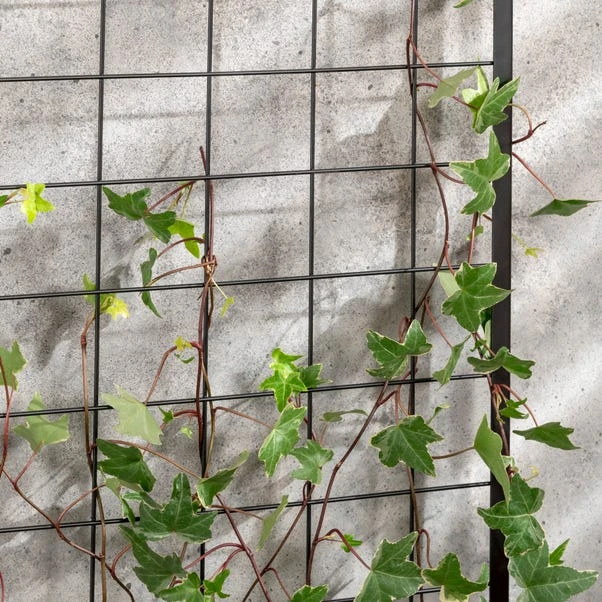 Dunelm Trellis Planter Self Assembly 4 Dunelm Trellis Planter Self Assembly - Image 2