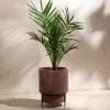 Dunelm Fibre Clay Rust Planter On A Stand -Furn Shop 30792992