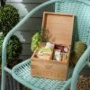 Dunelm Seeds Storage Box 2 Dunelm Seeds Storage Box -Furn Shop 30794904
