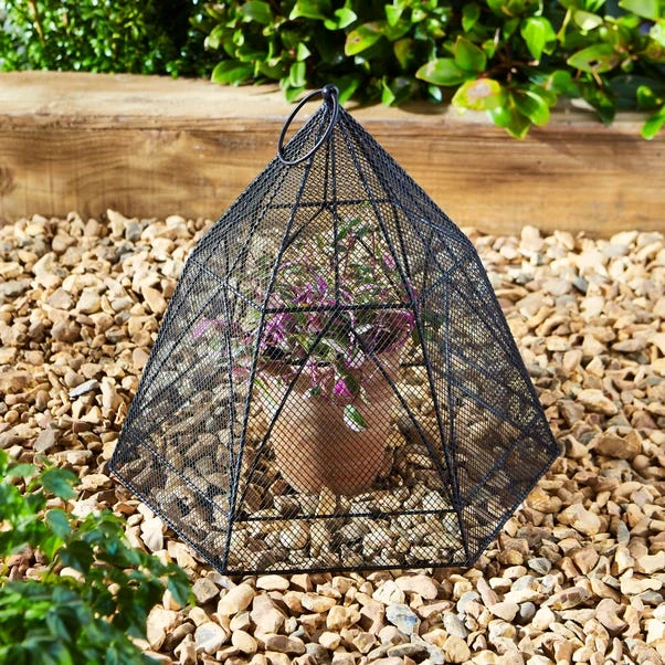Natural History Museum Plant Cloche 3 Natural History Museum Plant Cloche