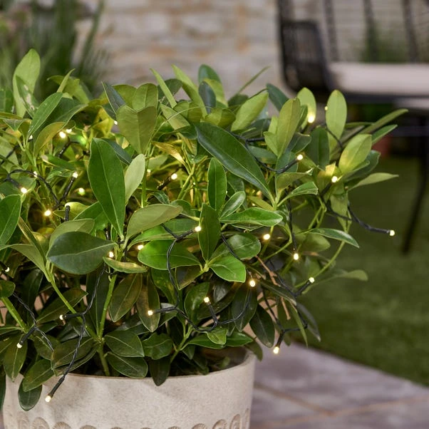 Dunelm 100 LED Battery Timer Chain Lights White 3 Dunelm 100 LED Battery Timer Chain Lights White