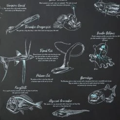 Natural History Museum Sea Creatures Wallpaper 9 Natural History Museum Sea Creatures Wallpaper -Furn Shop 30796978 alt03