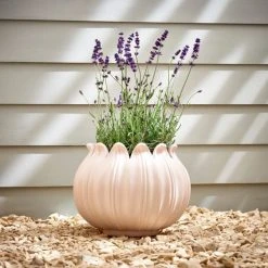 Dunelm Poppy Head Planter