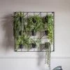 Cedar & Sage Bari 9 Wall Planters 2 Cedar & Sage Bari 9 Wall Planters -Furn Shop 30798304