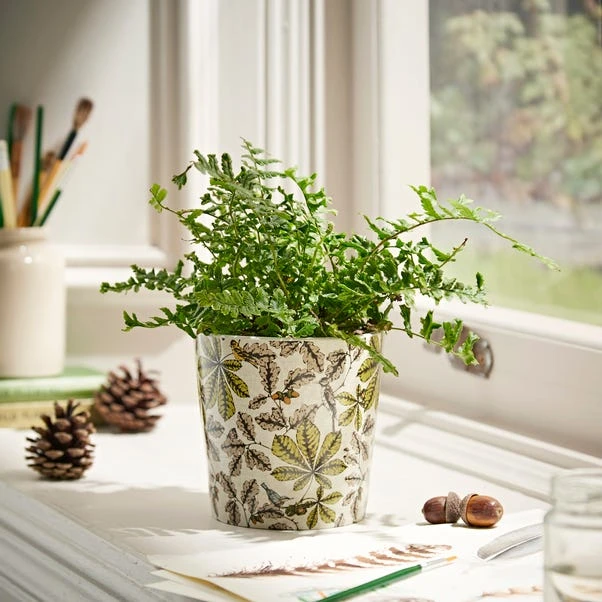 Natural History Museum Woodland Small Plant Pot 3 Natural History Museum Woodland Small Plant Pot