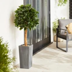 Dunelm Bay Tree In Anthracite Pot 120cm